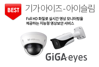 BEST Ⱑ -̽ Full HD ȭ ǽð  ͸ ϴ  󺸾 . GIGAeyes. Ⱑͳ, TV
