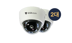 GiGAeyes I-View 2대